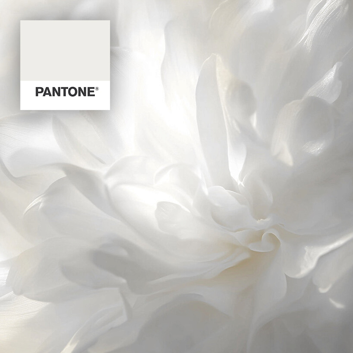 Цвет года 2026 Cloud Dancer